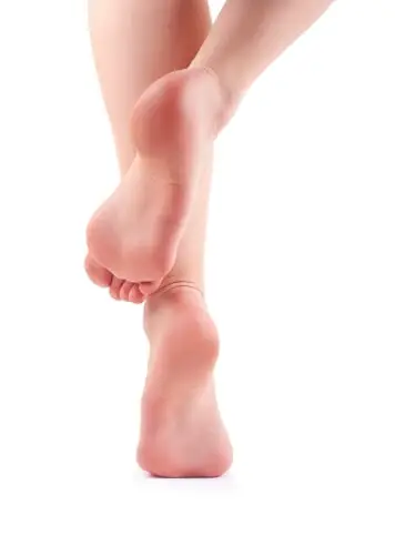 מבנה כף הרגל