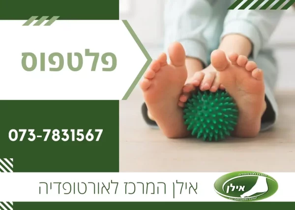פלטפוס